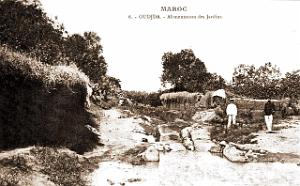 BIVEN Georges - 283- Oujda